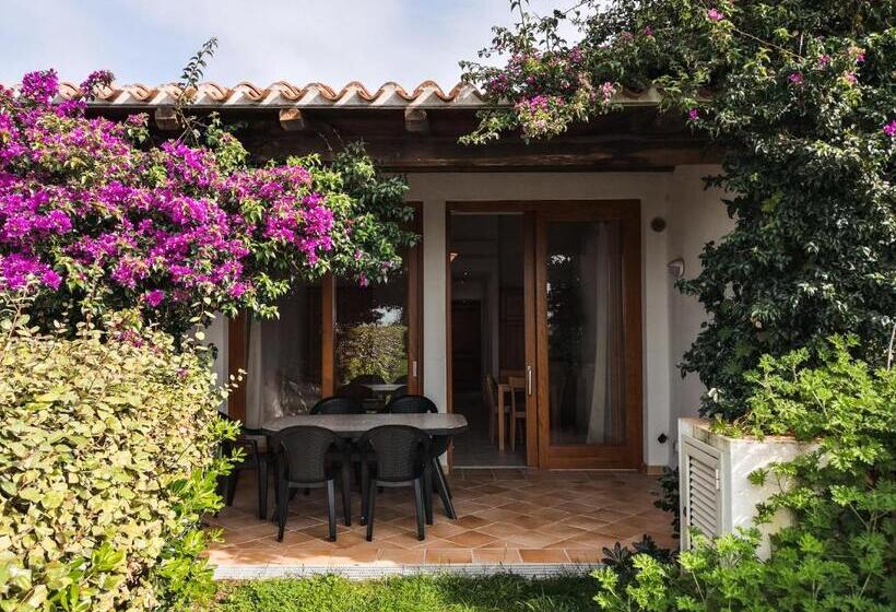 آپارتمان سوپریور 1 خوابه, Capo Ceraso Family Resort