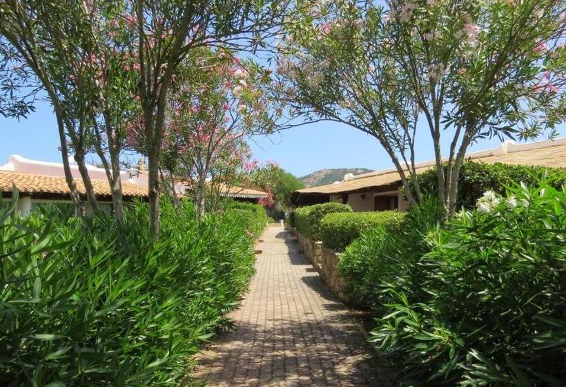 آپارتمان 1 خوابه, Capo Ceraso Family Resort