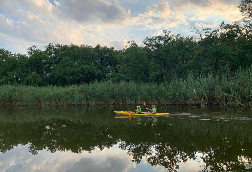اتاق خانوادگی, апартаменти у лісі