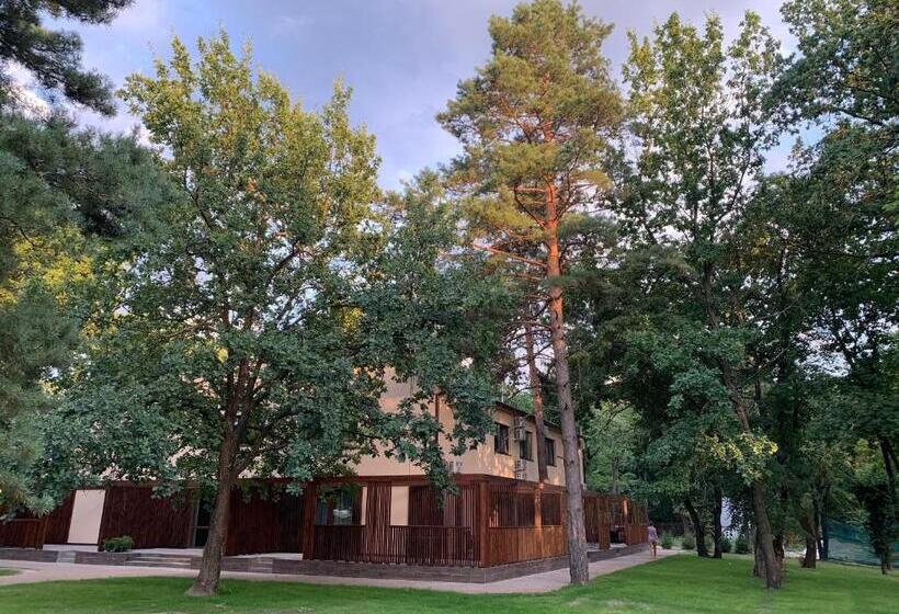 اتاق خانوادگی, апартаменти у лісі