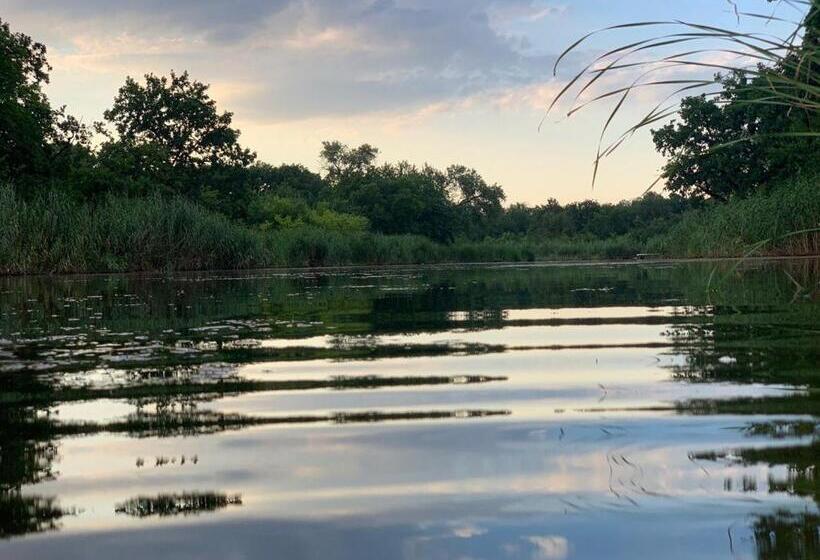 اتاق خانوادگی, апартаменти у лісі