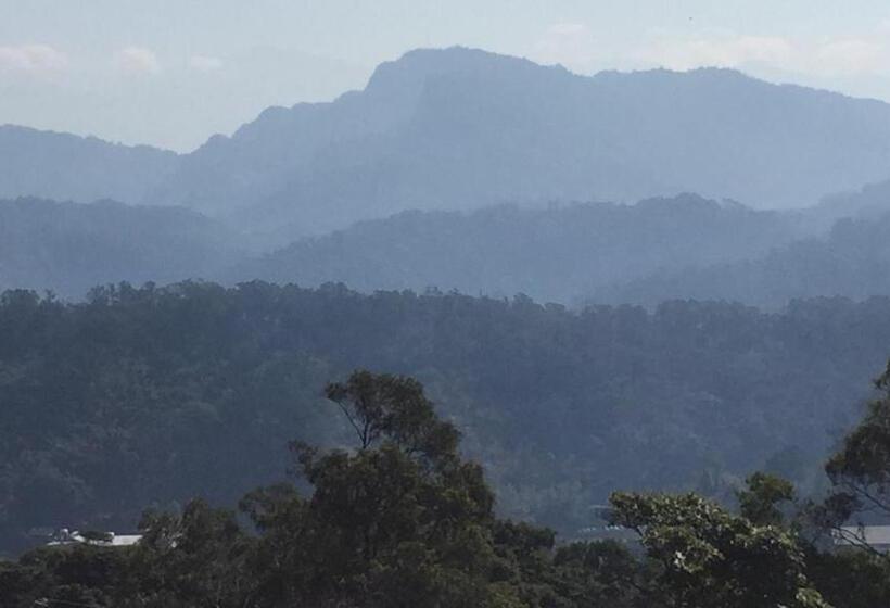 سوییت خانوادگی, 巨缿民宿巨象民宿