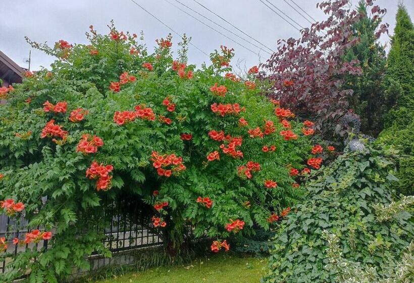 Номер Deluxe, котедж хата рибака