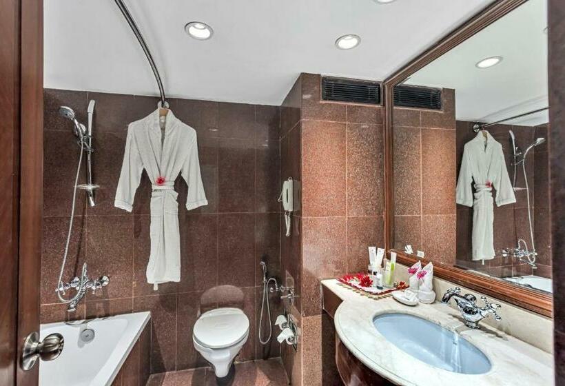 デラックスルーム, Club Mahindra White Meadows Manali