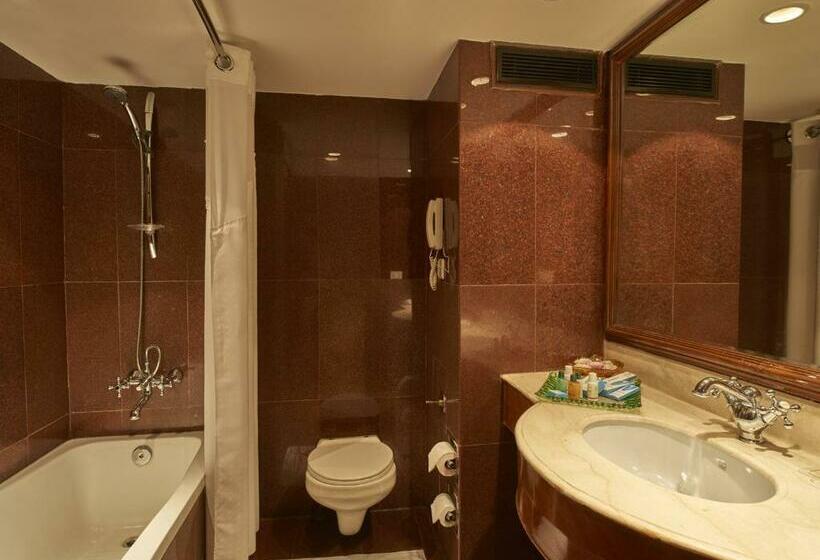 디럭스 룸, Club Mahindra White Meadows Manali