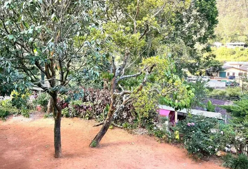سوییت خانوادگی, Mango Tree Nearest Adam S Peak