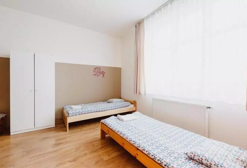 استودیوی استاندارد, Hostel Tara