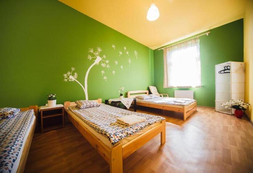 חדר סטנדרטי לארבעה עם חדר אמבטיה משותף, Hostel Tara