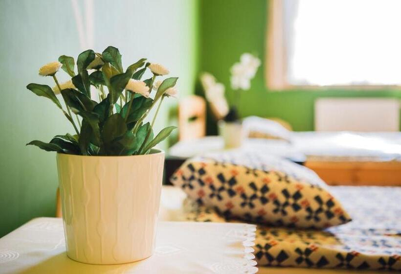 חדר סטנדרטי לארבעה עם חדר אמבטיה משותף, Hostel Tara