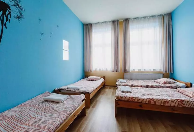 اتاق استاندارد چهارنفره با سرویس بهداشتی مشترک, Hostel Tara