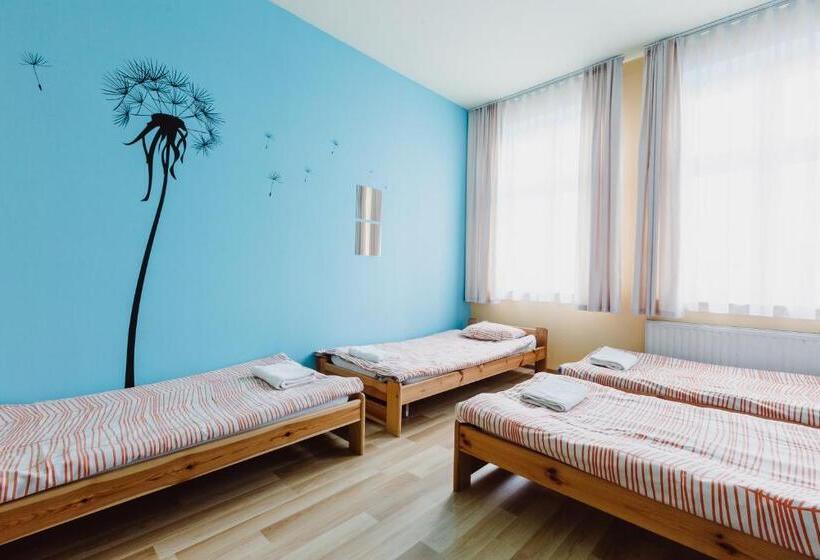 חדר סטנדרטי לארבעה עם חדר אמבטיה משותף, Hostel Tara