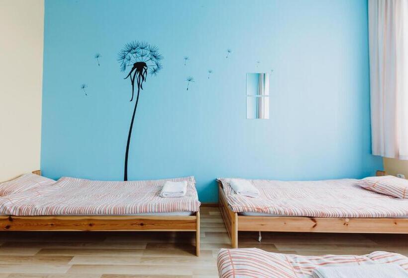 חדר סטנדרטי לארבעה עם חדר אמבטיה משותף, Hostel Tara