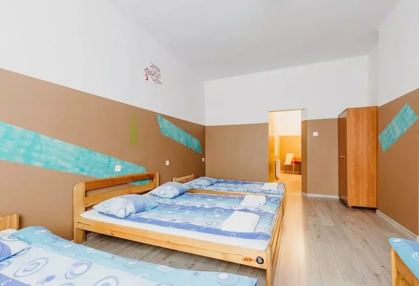 اتاق استاندارد چهار تخته, Hostel Tara
