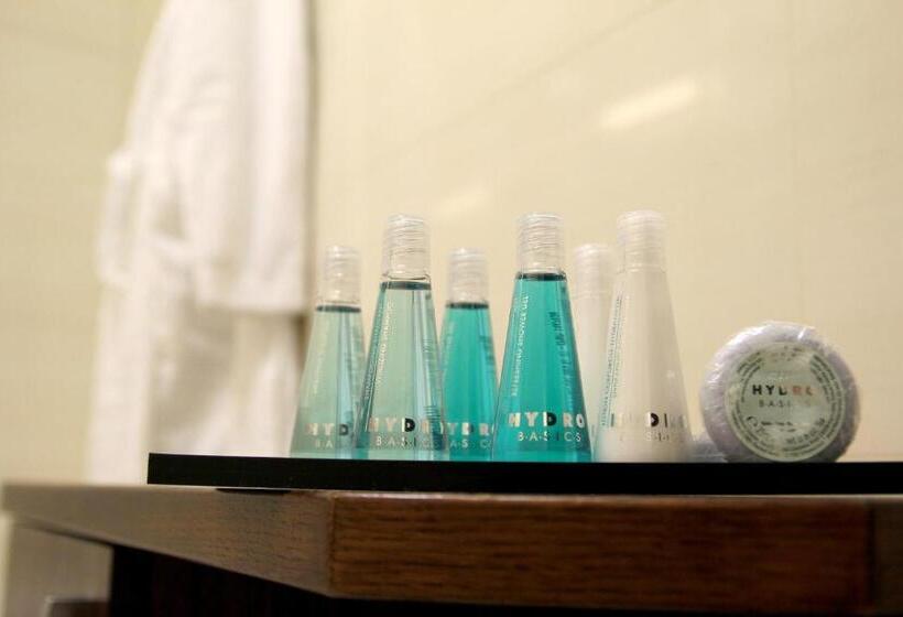 اتاق استاندارد, Baltaci Atrium