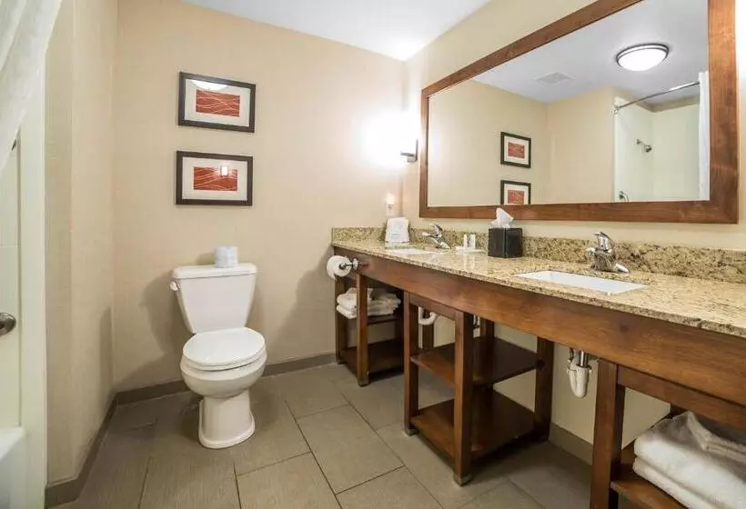 キングサイズベッドのスイートルーム, Comfort Suites Moab Near Arches National Park
