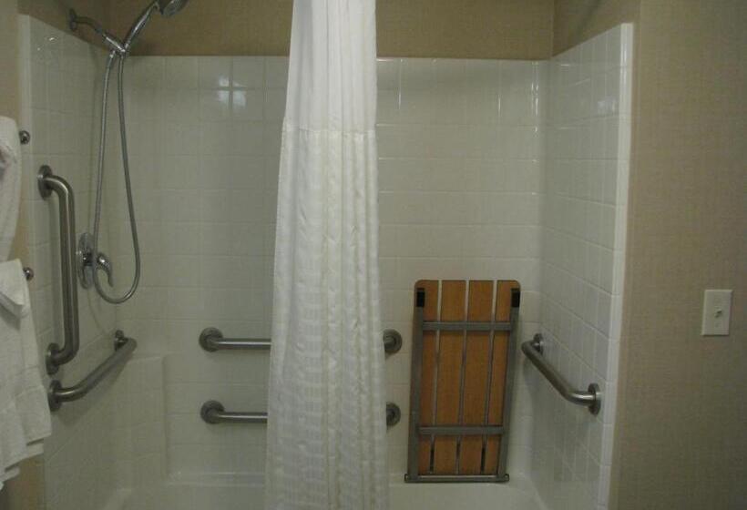 Люкс Адаптированный для Инвалидов, Comfort Suites Moab Near Arches National Park