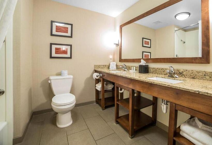 Люкс Адаптированный для Инвалидов, Comfort Suites Moab Near Arches National Park