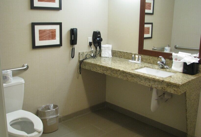 Люкс Адаптированный для Инвалидов, Comfort Suites Moab Near Arches National Park