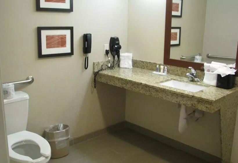 身障者適用スイートルーム, Comfort Suites Moab Near Arches National Park