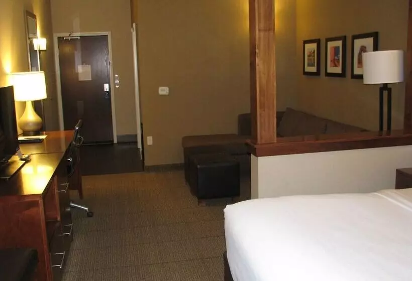 身障者適用スイートルーム, Comfort Suites Moab Near Arches National Park