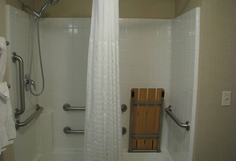Люкс Адаптированный для Инвалидов, Comfort Suites Moab Near Arches National Park