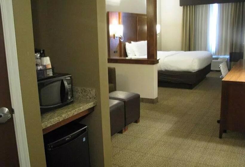 身障者適用スイートルーム, Comfort Suites Moab Near Arches National Park
