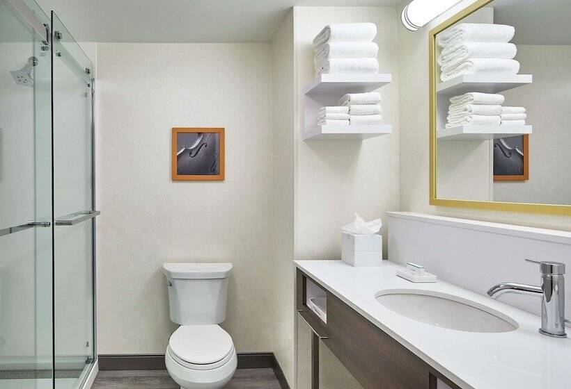اتاق استاندارد با 2 تخت دوبل, Hampton Inn & Suites Atlanta Midtown