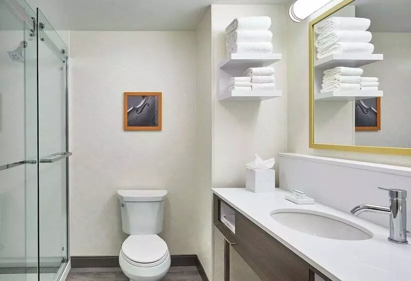 ２ダブルベッドのスタンダードルーム, Hampton Inn & Suites Atlanta Midtown