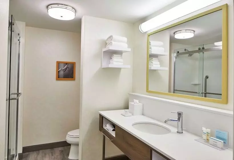 ２ダブルベッドのスタンダードルーム, Hampton Inn & Suites Atlanta Midtown