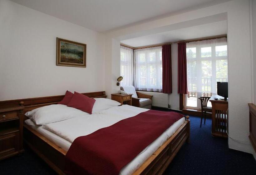 חדר סטנדרט, Jelinek