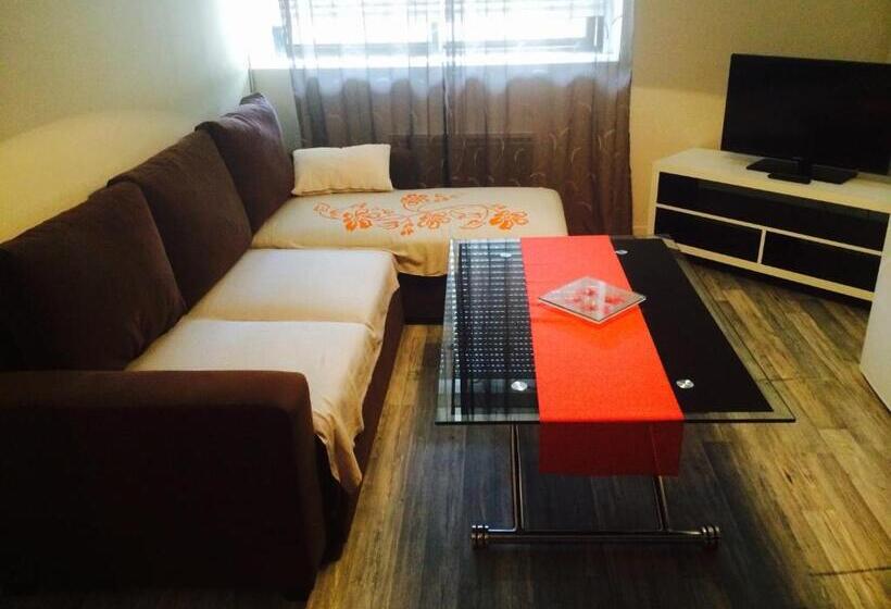 סטודיו משפחתי, L Excess