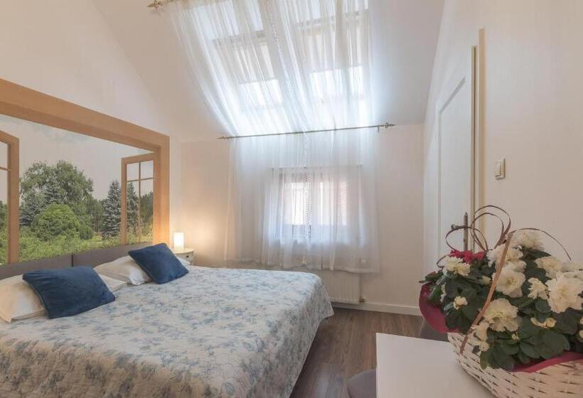 غرفة قياسية, Maria Helena