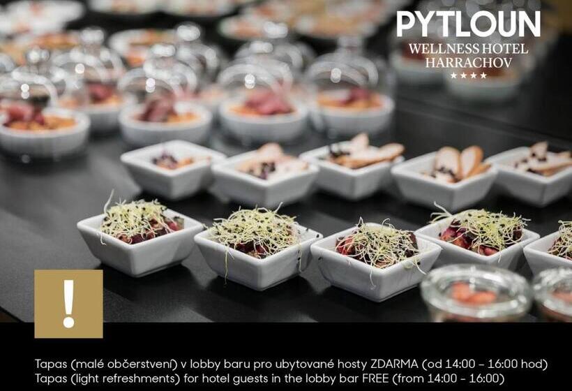 高级大房间, Pytloun Wellness Hotel Harrachov
