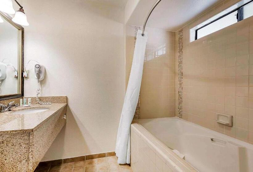 带大床的标准间, Quality Inn Fallbrook I 15