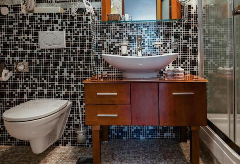 جناح دوبلكس, Troyer