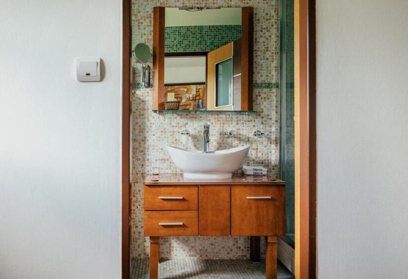 غرفة ديلوكس مطلّة علي الحديقة, Troyer