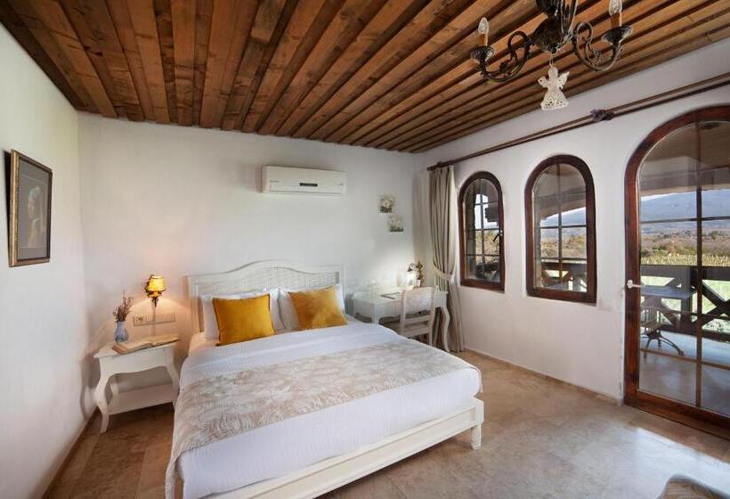 اتاق استاندارد, Vinifera Vineyards