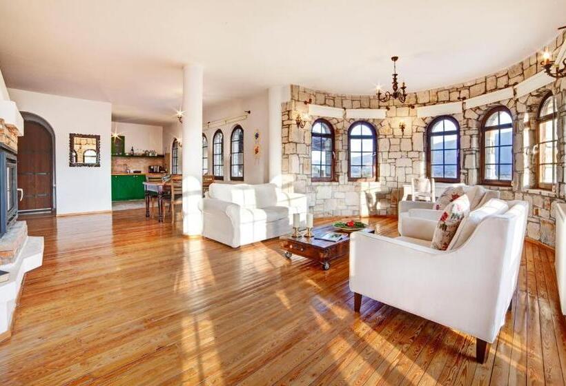 سوئیت با تخت بزرگ, Vinifera Vineyards