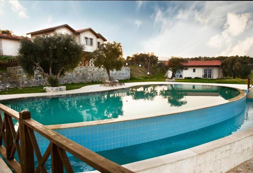 اتاق لوکس, Vinifera Vineyards