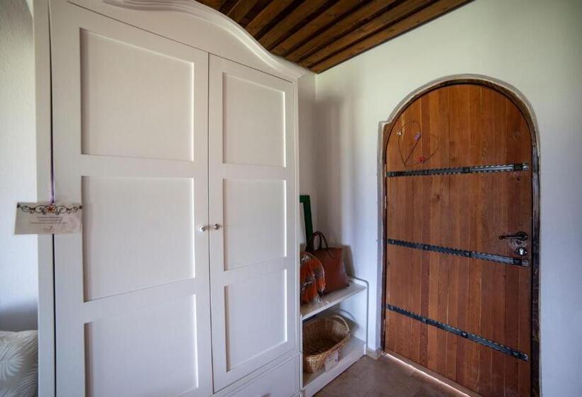 اتاق اکونومی, Vinifera Vineyards