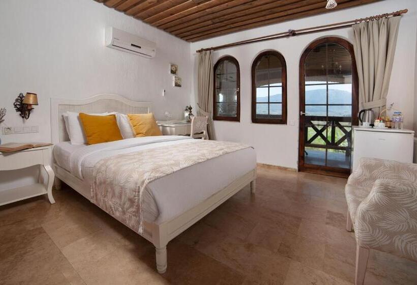 اتاق اکونومی, Vinifera Vineyards