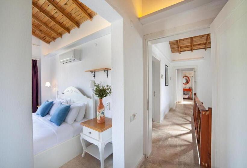 اتاق لوکس, Vinifera Vineyards