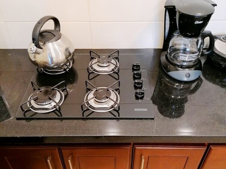 آپارتمان 1 خوابه با تراس, Premium Suites Deluxe Aparthotel Equipetrol