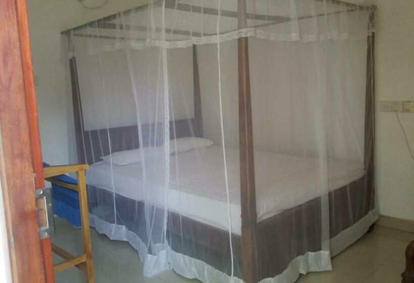 Cameră Economică, Hector House