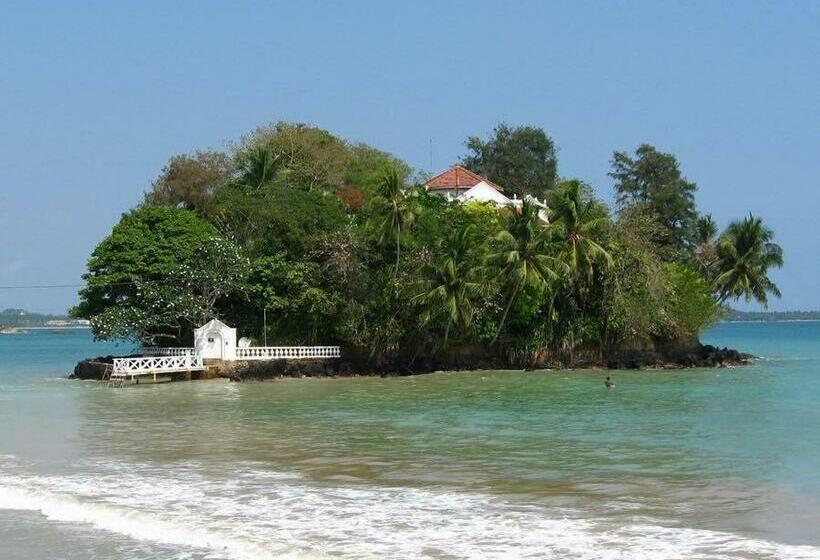 Cameră Standard, Hector House