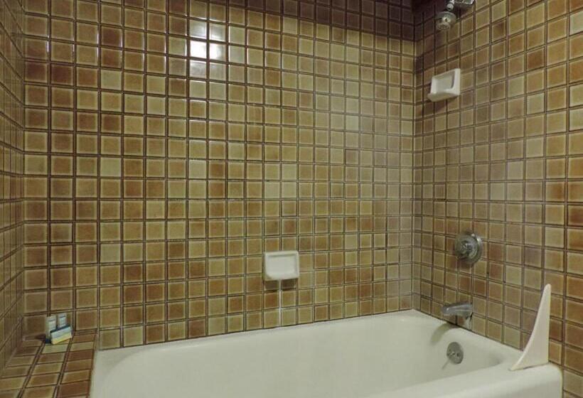 Апартаменты 1 Спальня Нижний Этаж, Polo Beach Club