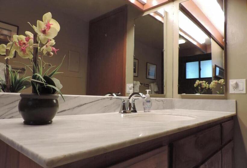 Апартаменты 1 Спальня Вид на Сад, Polo Beach Club