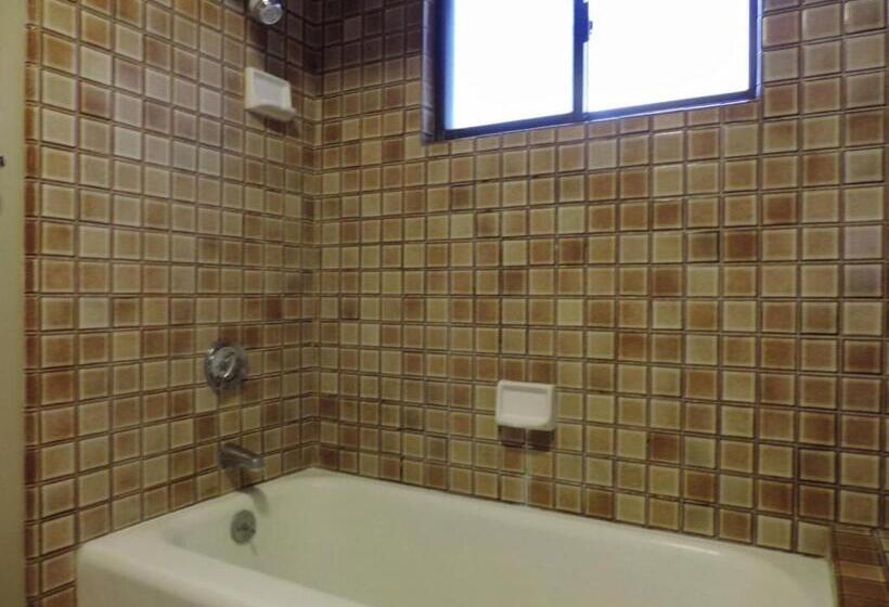 Апартаменты 1 Спальня Вид на Сад, Polo Beach Club