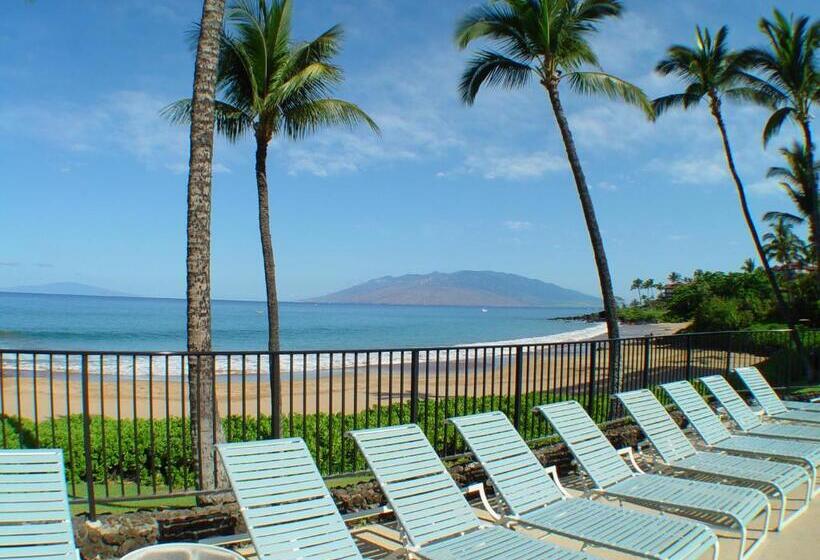 Апартаменты 1 Спальня Нижний Этаж, Polo Beach Club