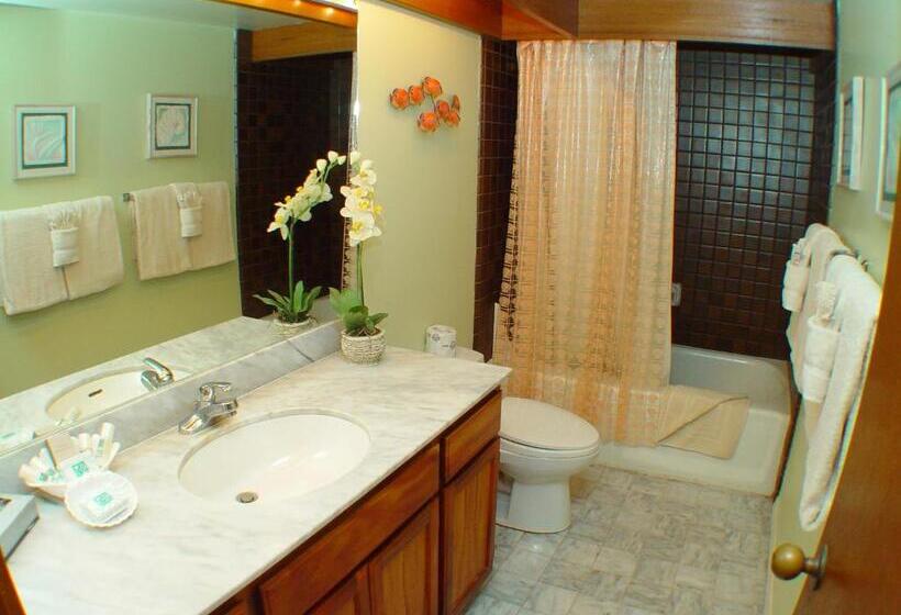 Апартаменты 1 Спальня Нижний Этаж, Polo Beach Club